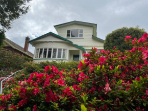 Spacious comfortable character House -Maori Hill